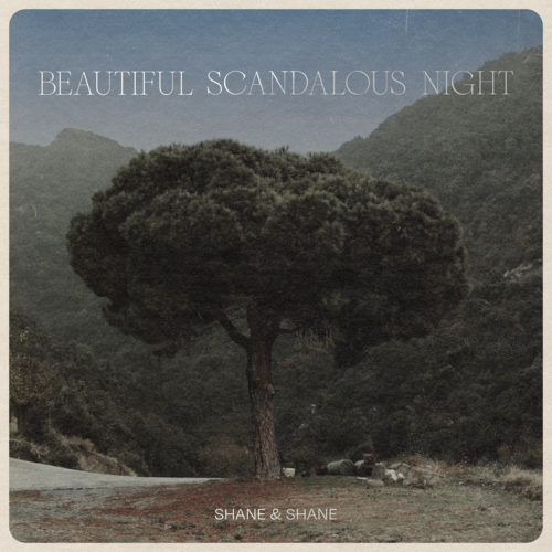 Beautiful Scandalous Night Cover Art Blurred Background