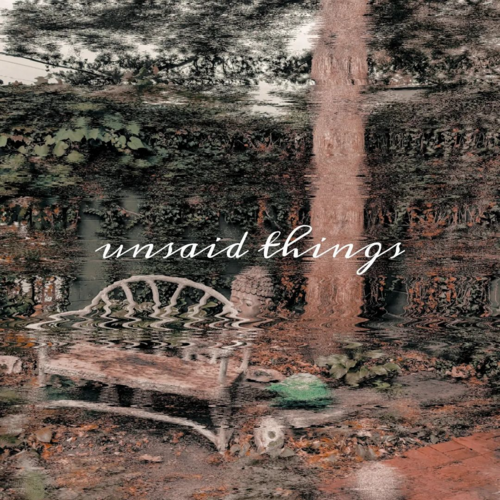 Unsaid Things Cover Art Blurred Background