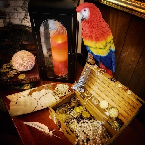 A Pirate's Parrot Cover Art Blurred Background