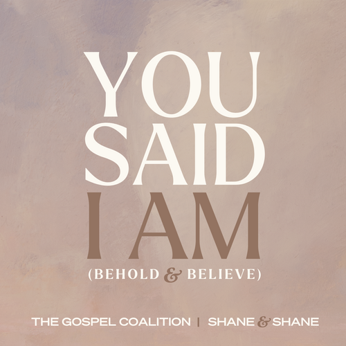 You Said I Am (Behold and Believe) Cover Art Blurred Background