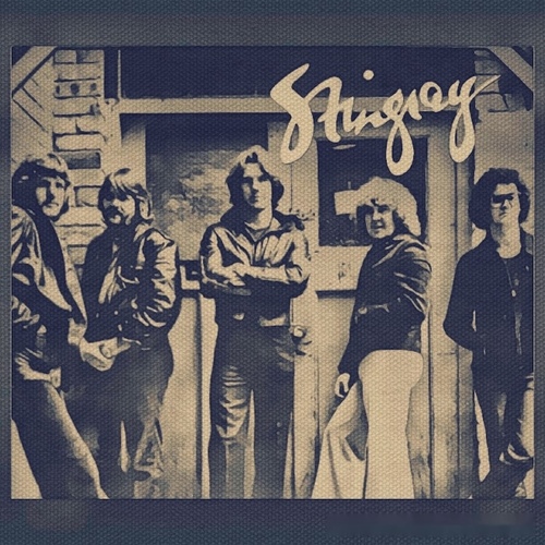 Stingray Cover Art Blurred Background