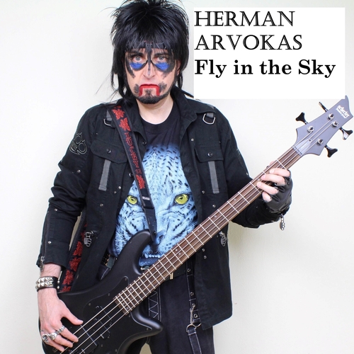 Fly in the Sky Cover Art Blurred Background