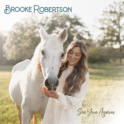 See You Again Cover Art Blurred Background