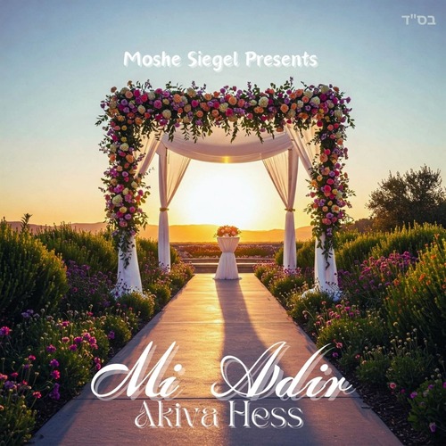 Mi Adir Cover Art Blurred Background