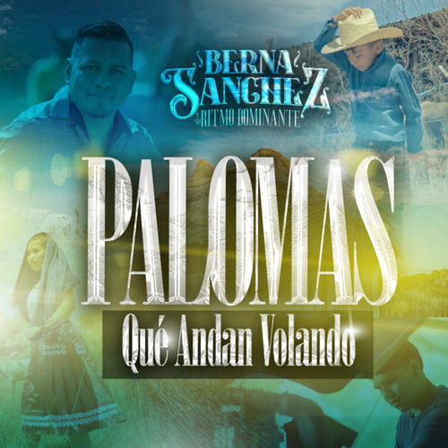 Palomas Que Andan Volando (Chilena) Cover Art Blurred Background