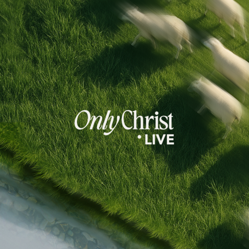Only Christ (Live) Cover Art Blurred Background