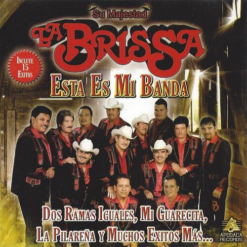 Esta Es Mi Banda (2011) Cover Art Blurred Background