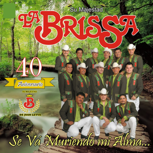 Se Vá Muriendo Mi Alma (2015) Cover Art Blurred Background