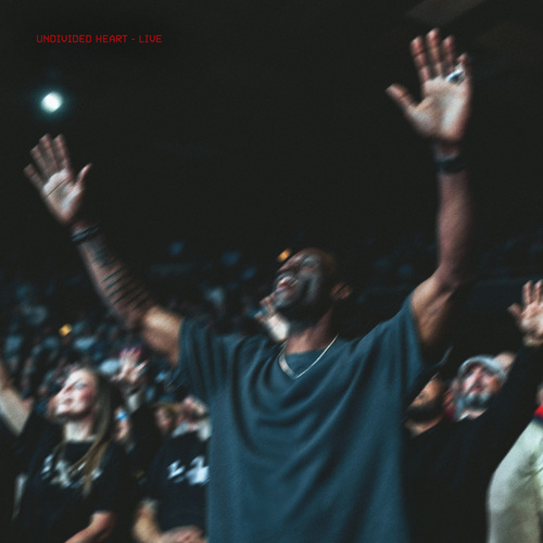 Undivided Heart (Live) Cover Art Blurred Background