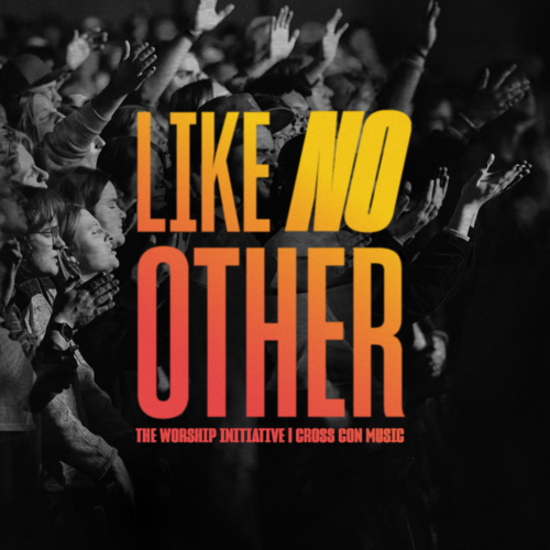 Like No Other (Live) Cover Art Blurred Background