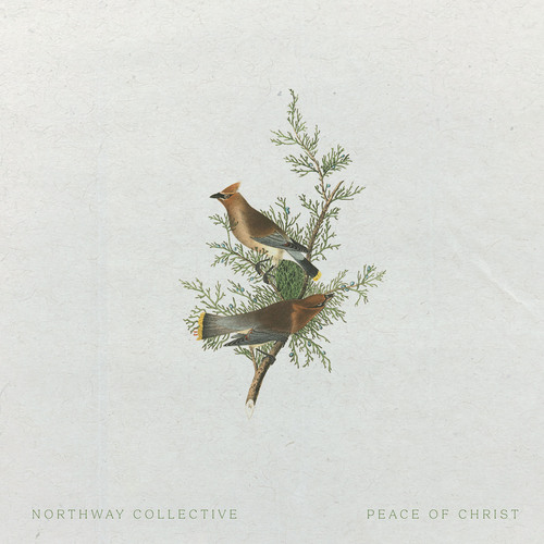 Peace of Christ (Live) Cover Art Blurred Background