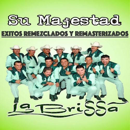 Exitos Remezclados y Remasterizados 2026 Cover Art Blurred Background
