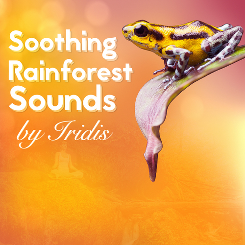 Soothing Rainforest Sounds Cover Art Blurred Background