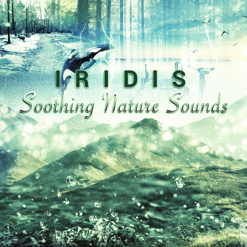 Soothing Nature Sounds Cover Art Blurred Background