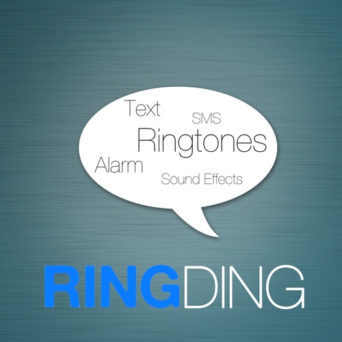 Beautiful Zylo Ringtone Cover Art Blurred Background
