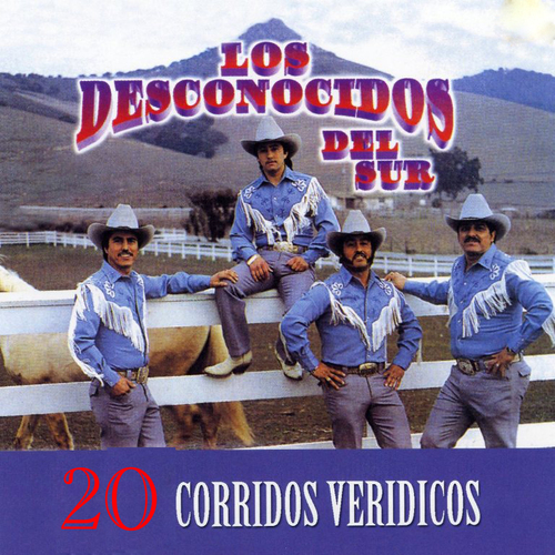 20 Corridos Veridicos Cover Art Blurred Background
