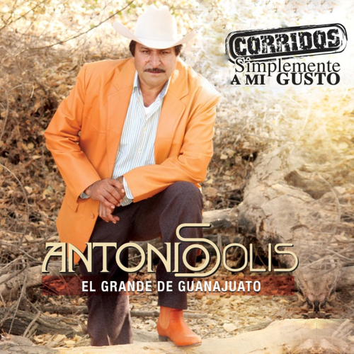 Corridos Simplemente a Mi Gusto Cover Art Blurred Background