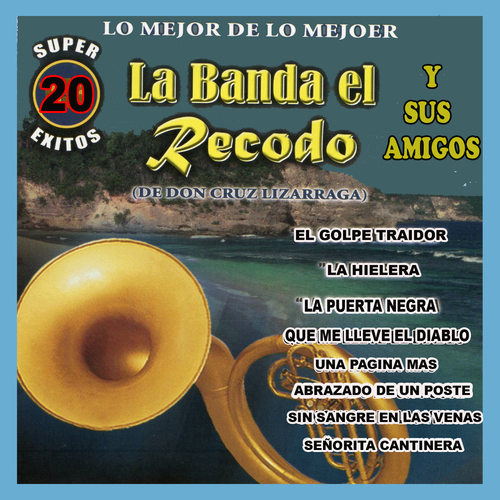 La Banda el Recodo y Sus Amigos Cover Art Blurred Background