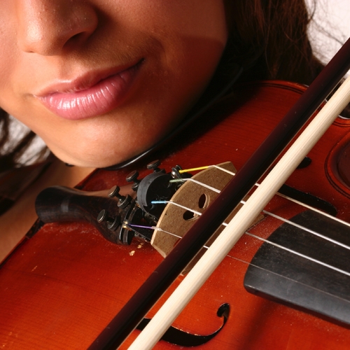 Pachelbel: Canon In D Major (Wedding) Cover Art Blurred Background