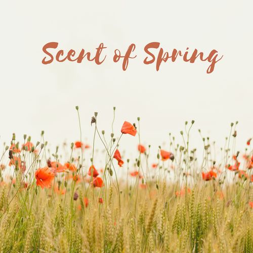 Scent of Spring Cover Art Blurred Background