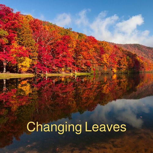 Changing Leaves Cover Art Blurred Background