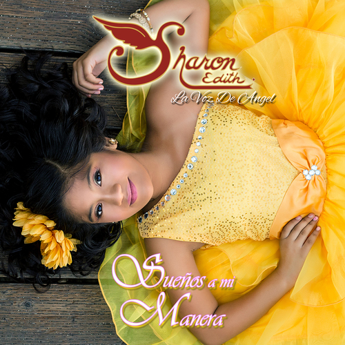 Sueños a Mi Manera Cover Art Blurred Background