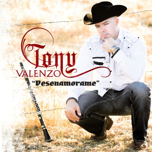 Desenamorame Cover Art Blurred Background
