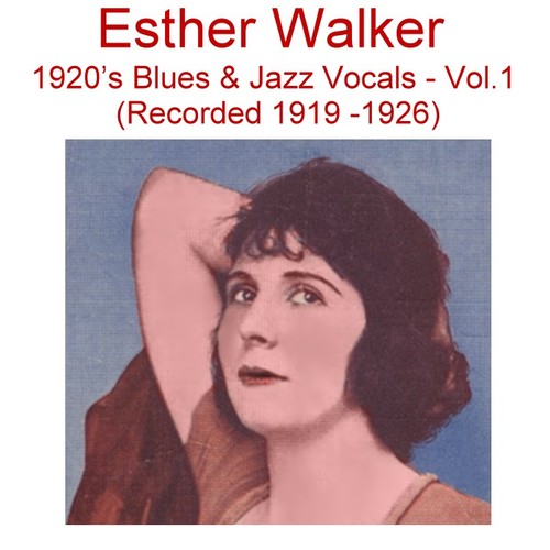 1920's Blues & Jazz Vocals, Vol. 1 (Recorded 1919-1926) Cover Art Blurred Background