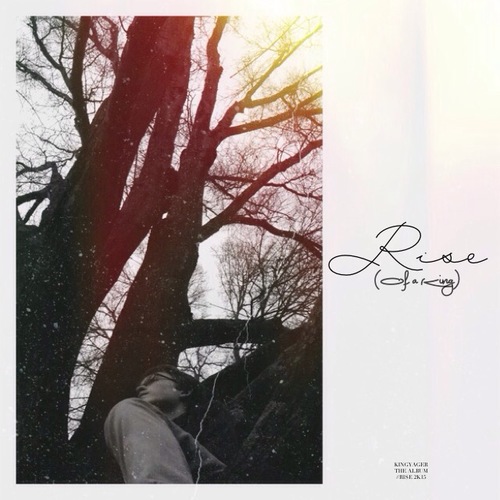 Rise (Of a King) Cover Art Blurred Background
