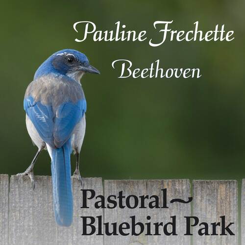 Pastoral: Bluebird Park Cover Art Blurred Background
