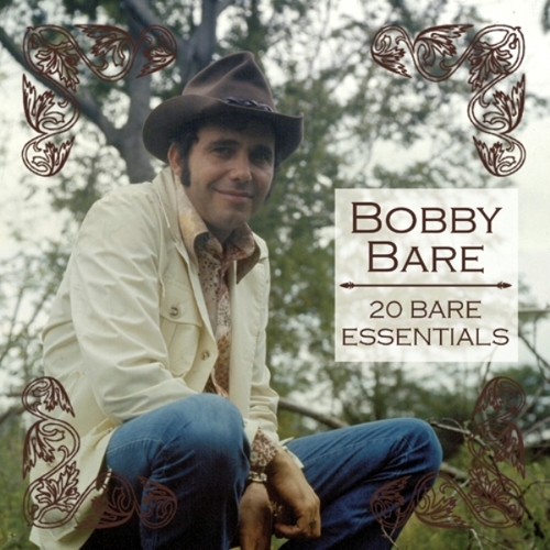 20 Bare Essentials Cover Art Blurred Background