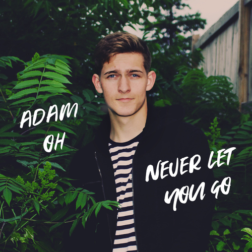 Never Let You Go Cover Art Blurred Background