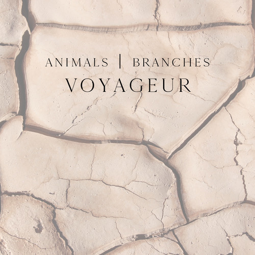 Animals / Branches Cover Art Blurred Background