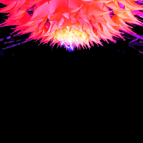 Lost & Found Cover Art Blurred Background