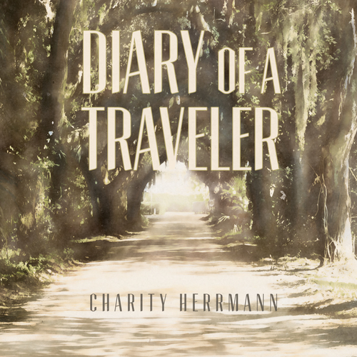 Diary of a Traveler Cover Art Blurred Background