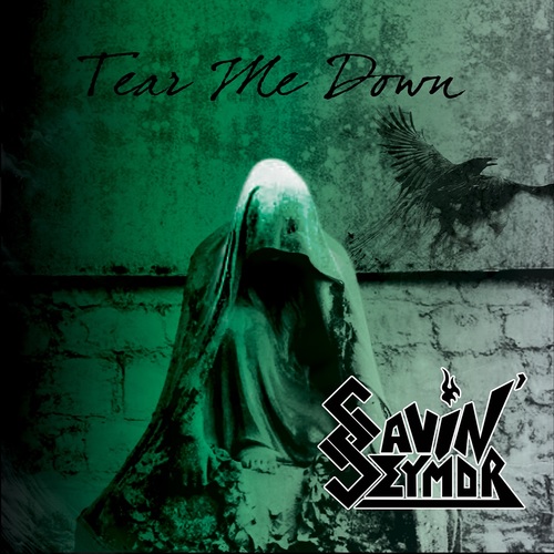 Tear Me Down Cover Art Blurred Background