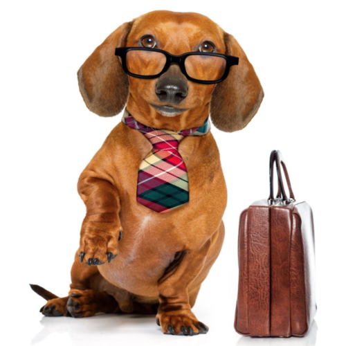 Boss Calling Cover Art Blurred Background