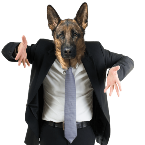 Boss Cover Art Blurred Background
