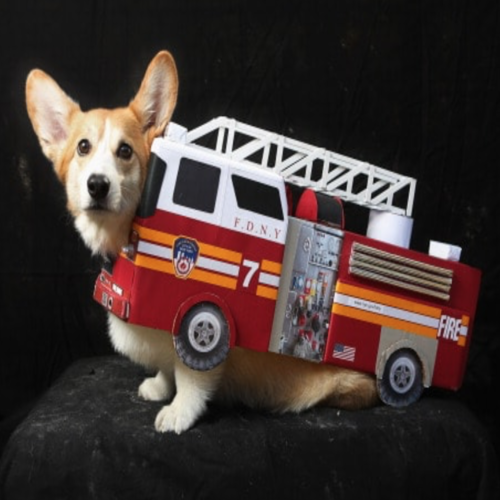 Ambulance Siren Cover Art Blurred Background