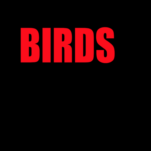 Birds Cover Art Blurred Background