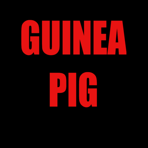 Guinea Pig Cover Art Blurred Background