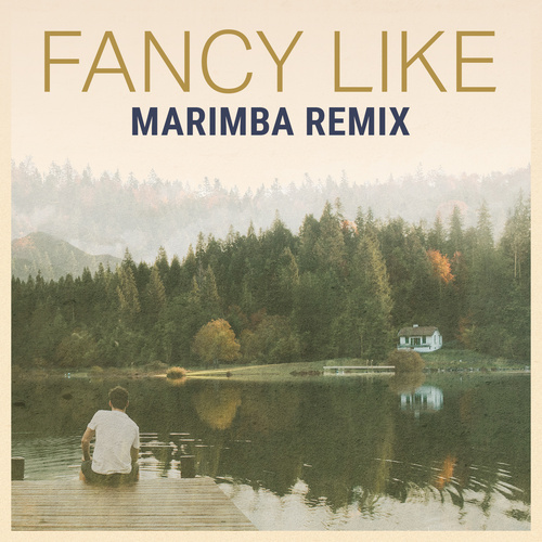 Fancy Like (Marimba Remix) [Cover] Cover Art Blurred Background