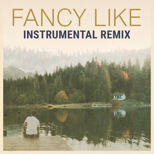 Fancy Like (Instrumental Remix) [Cover] Cover Art Blurred Background