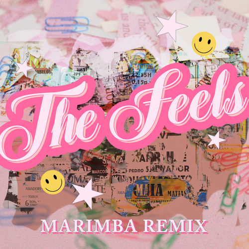 The Feels (Marimba Remix) [Cover] Cover Art Blurred Background