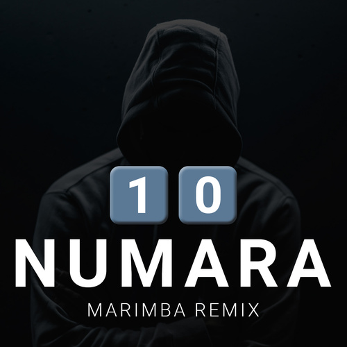 10 NUMARA (Marimba Remix) [Cover] Cover Art Blurred Background