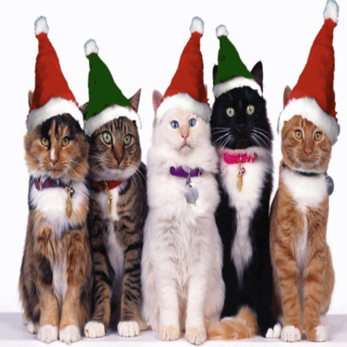 We Wish You a Merry Christmas (Bells Remix) Cover Art Blurred Background