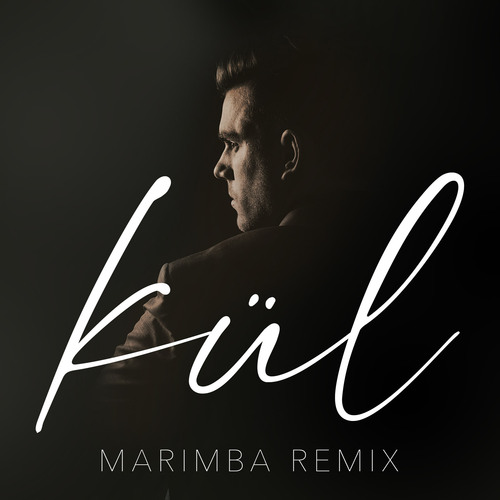Kül (Marimba Remix) [Cover] Cover Art Blurred Background