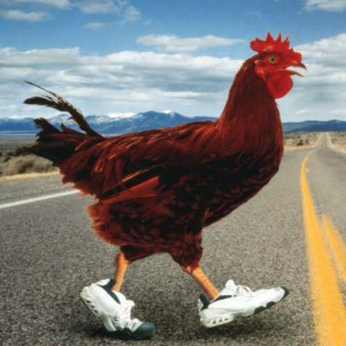 Rooster (Funny Remix) Cover Art Blurred Background