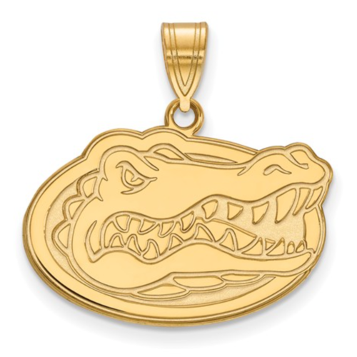 Florida Gators (Orange & Blue) Cover Art Blurred Background