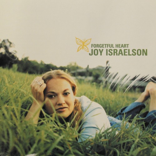 Forgetful Heart Cover Art Blurred Background